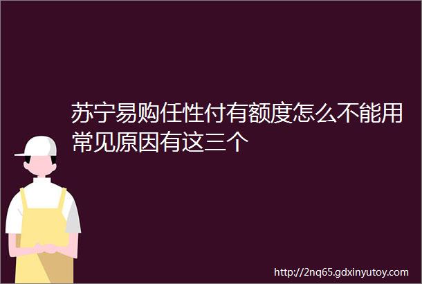 苏宁易购任性付有额度怎么不能用常见原因有这三个